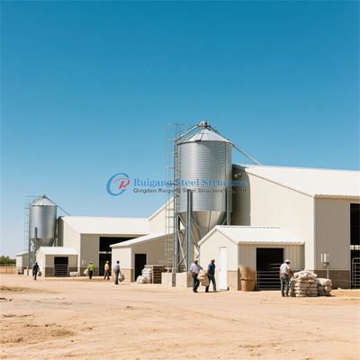 โครงสร้างสแตนเลส Prefab บ้านไก่ โครงสร้างสแตนเลสตามความต้องการ ไก่ไก่